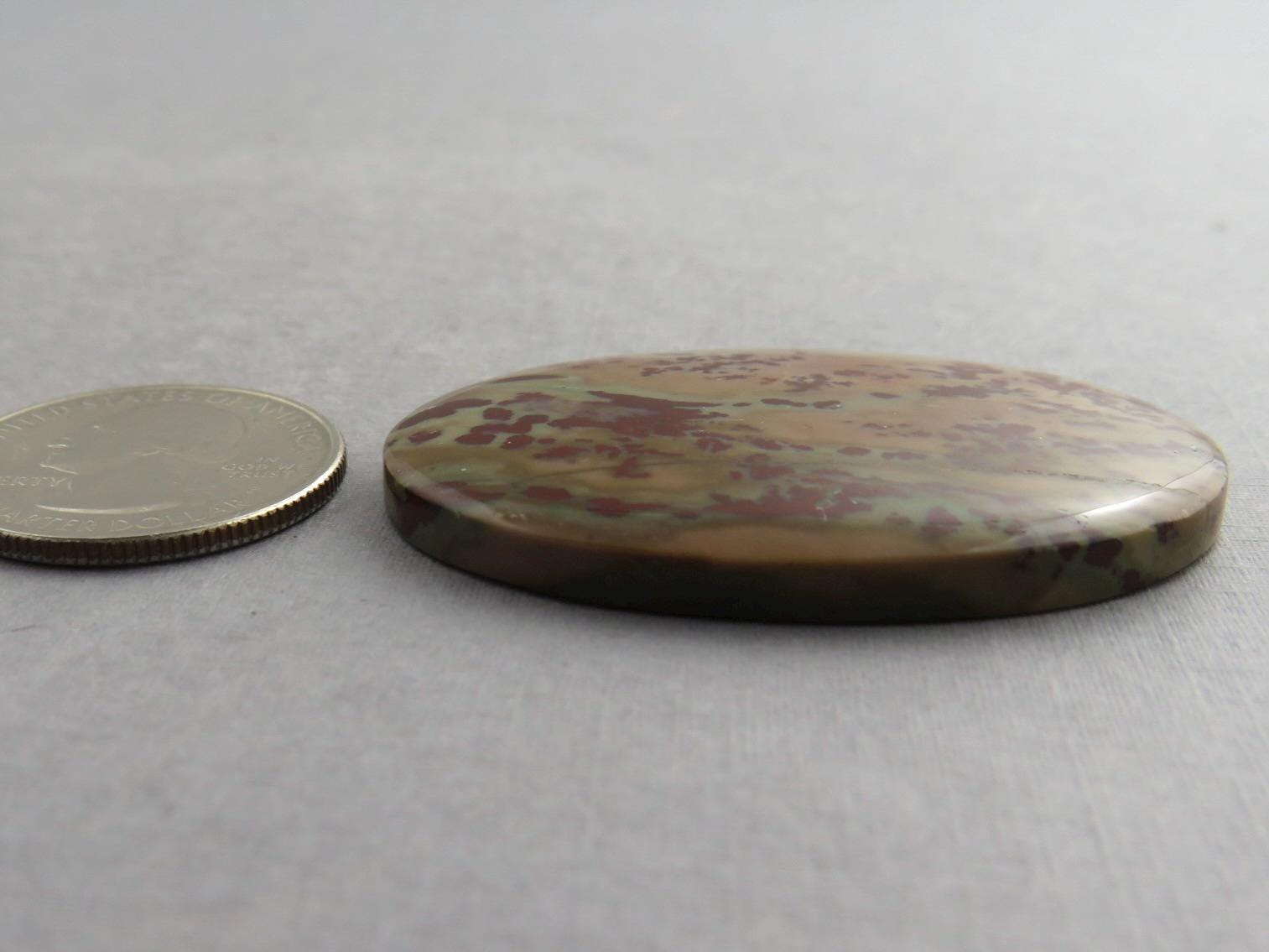 Dead Camel Jasper | American Gemstone Oval Cabochon from Nevada | 47mm x 32mm | JS396 - Dead Camel Jasper, Nevada Cabochon - GemEnthusiast