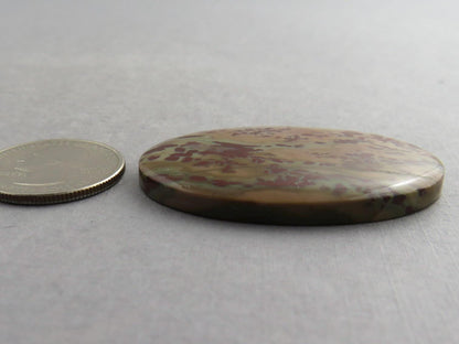 Dead Camel Jasper | American Gemstone Oval Cabochon from Nevada | 47mm x 32mm | JS396 - Dead Camel Jasper, Nevada Cabochon - GemEnthusiast