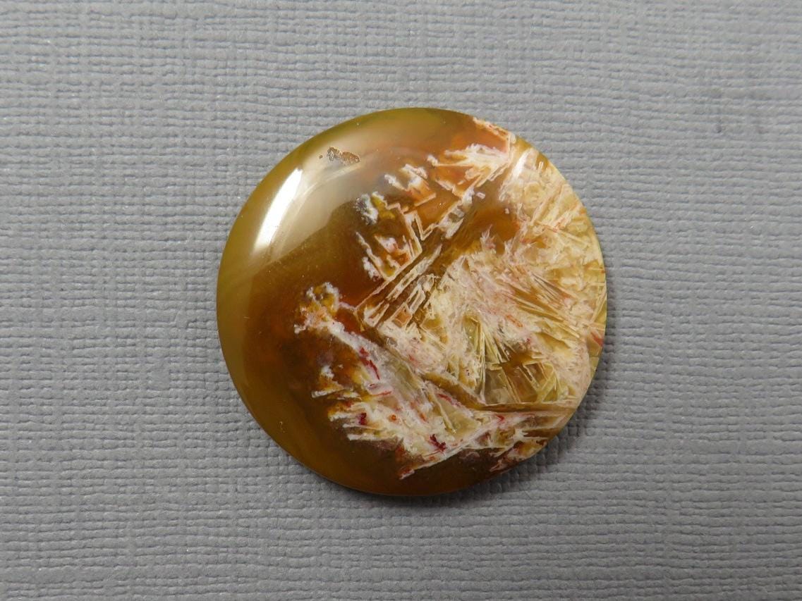 Condor Agate Cabochon | Round Chalcedony from Patagonia Argentina | AG310 - Condor Agate, Sagenite Agate - GemEnthusiast