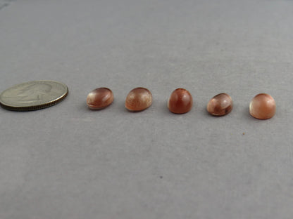12x8 Oregon Sunstone Oval Cabochon Gemstones | Mined in the USA | OSC329 - Oregon Sunstone - GemEnthusiast