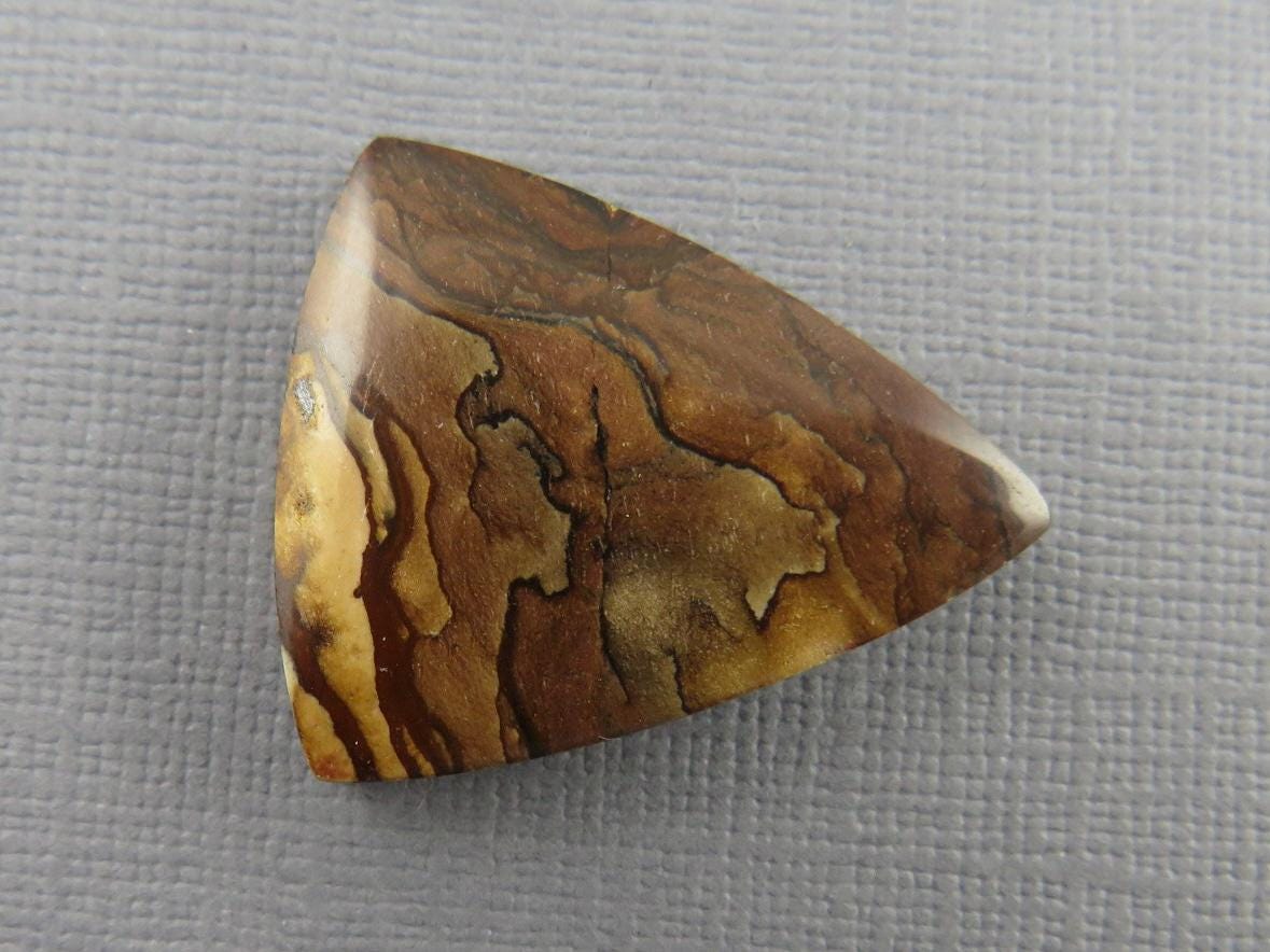 Deschutes Biggs Jasper from Oregon | Mined in the USA | JS408 - Deschutes Jasper, Biggs Jasper - GemEnthusiast