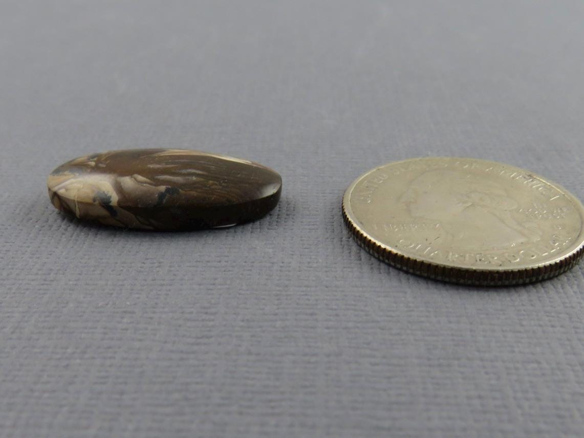 Deschutes Biggs Jasper from Oregon | Mined in the USA | 23x12 mm | JS410 - Deschutes Jasper, Biggs Jasper - GemEnthusiast