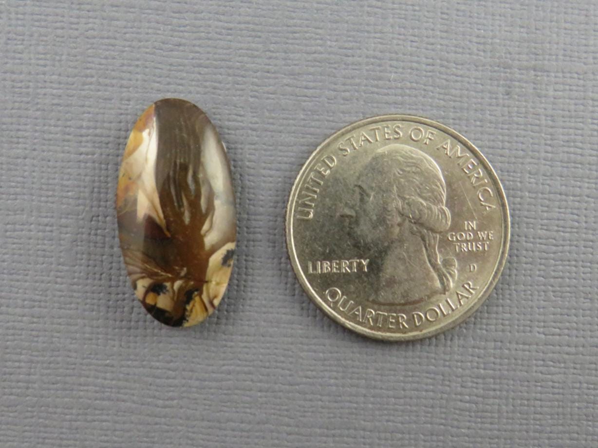 Deschutes Biggs Jasper from Oregon | Mined in the USA | 23x12 mm | JS410 - Deschutes Jasper, Biggs Jasper - GemEnthusiast