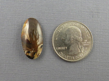 Deschutes Biggs Jasper from Oregon | Mined in the USA | 23x12 mm | JS410 - Deschutes Jasper, Biggs Jasper - GemEnthusiast