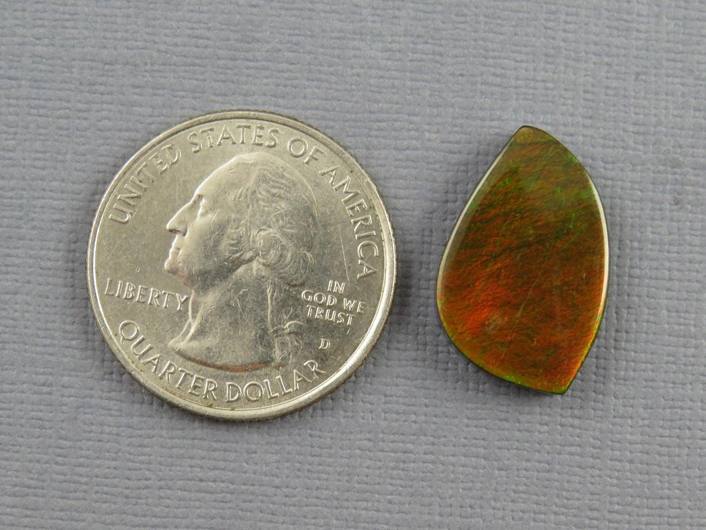 Canadian Ammolite Doublet | Natural Ammonite Fossil Cabochon | 21mm x 14mm | P148 - Canadian Ammolite - GemEnthusiast