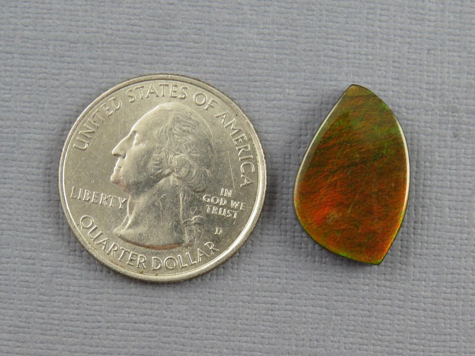 Canadian Ammolite Doublet | Natural Ammonite Fossil Cabochon | 21mm x 14mm | P148 - Canadian Ammolite - GemEnthusiast