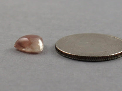 10mm Oregon Sunstone | Triangle Cabochon | Natural American Gemstone | 2.9 carats | OSC285 - Oregon Sunstone - GemEnthusiast