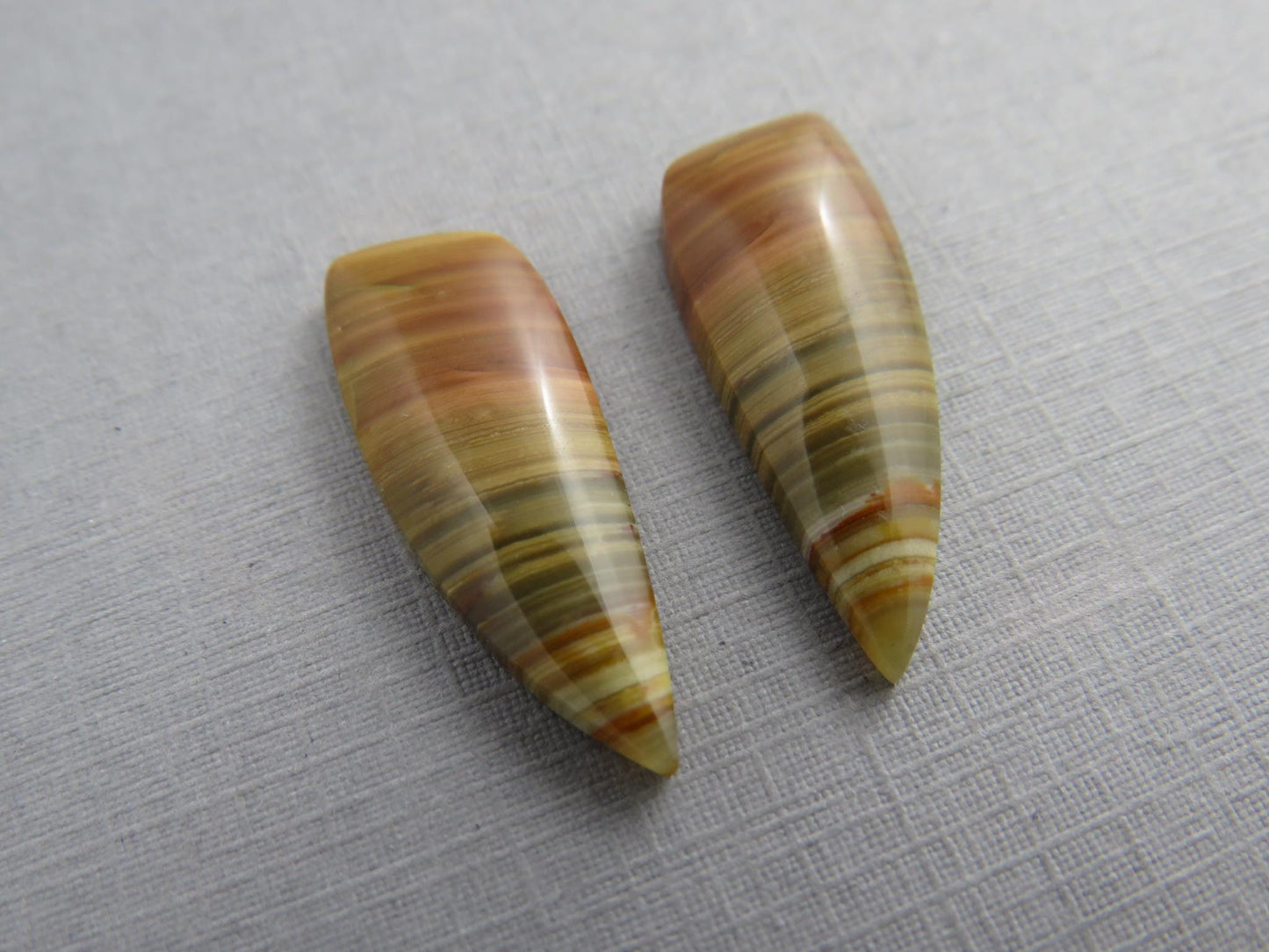 Blue Mountain Jasper Pair | Mined in Oregon USA | 26x10 | JS389 - Blue Mountain Jasper - GemEnthusiast