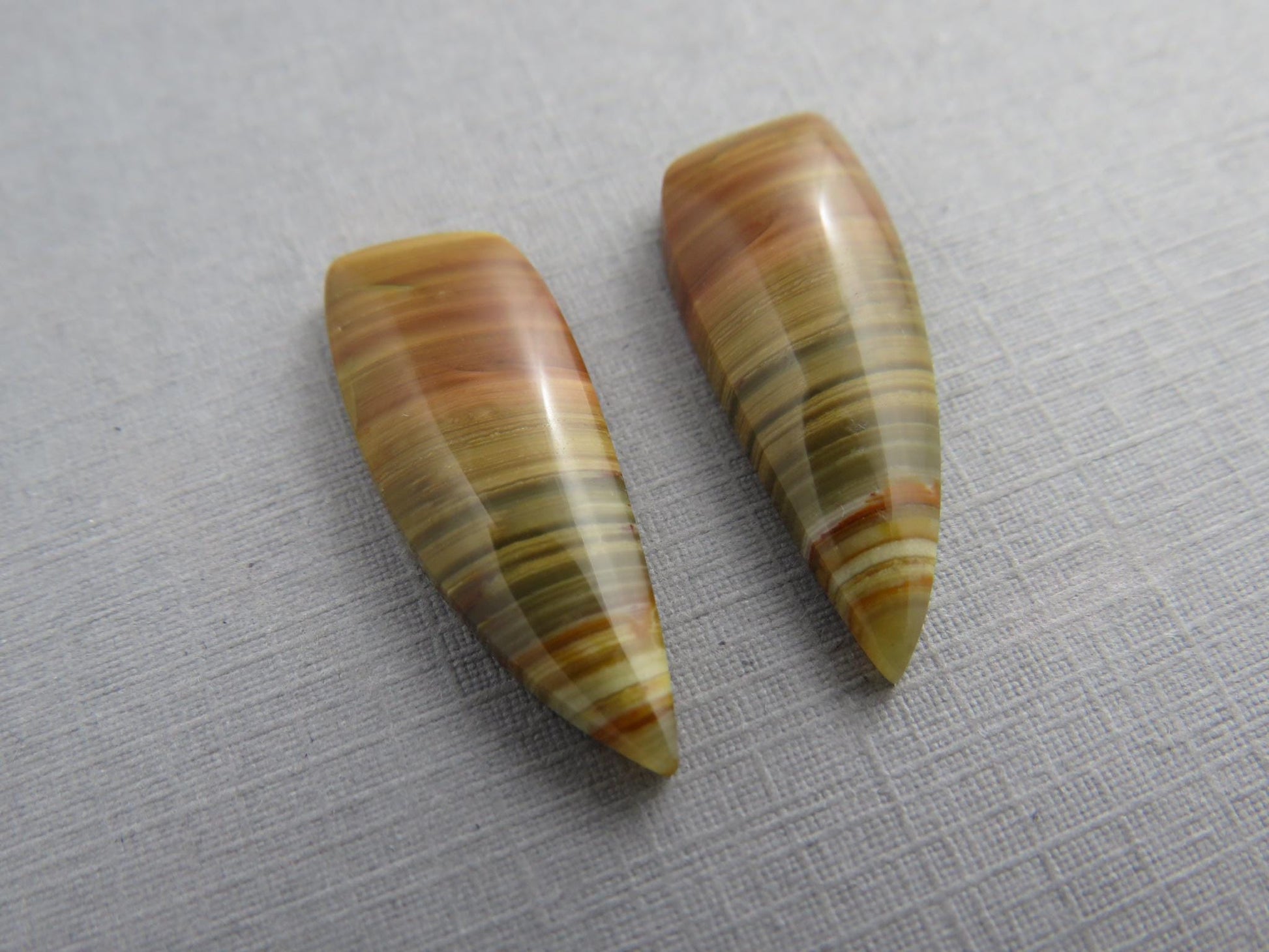 Blue Mountain Jasper Pair | Mined in Oregon USA | 26x10 | JS389 - Blue Mountain Jasper - GemEnthusiast