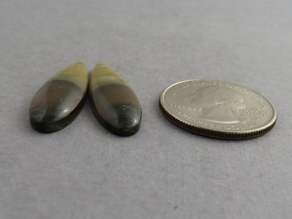 Blue Mountain Jasper Pair | Mined in Oregon USA | 30x10 | JS391 - Blue Mountain Jasper - GemEnthusiast