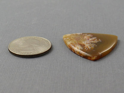 Condor Agate Cabochon | Chalcedony from Patagonia Argentina | AG309 - Condor Agate, Sagenite Agate - GemEnthusiast