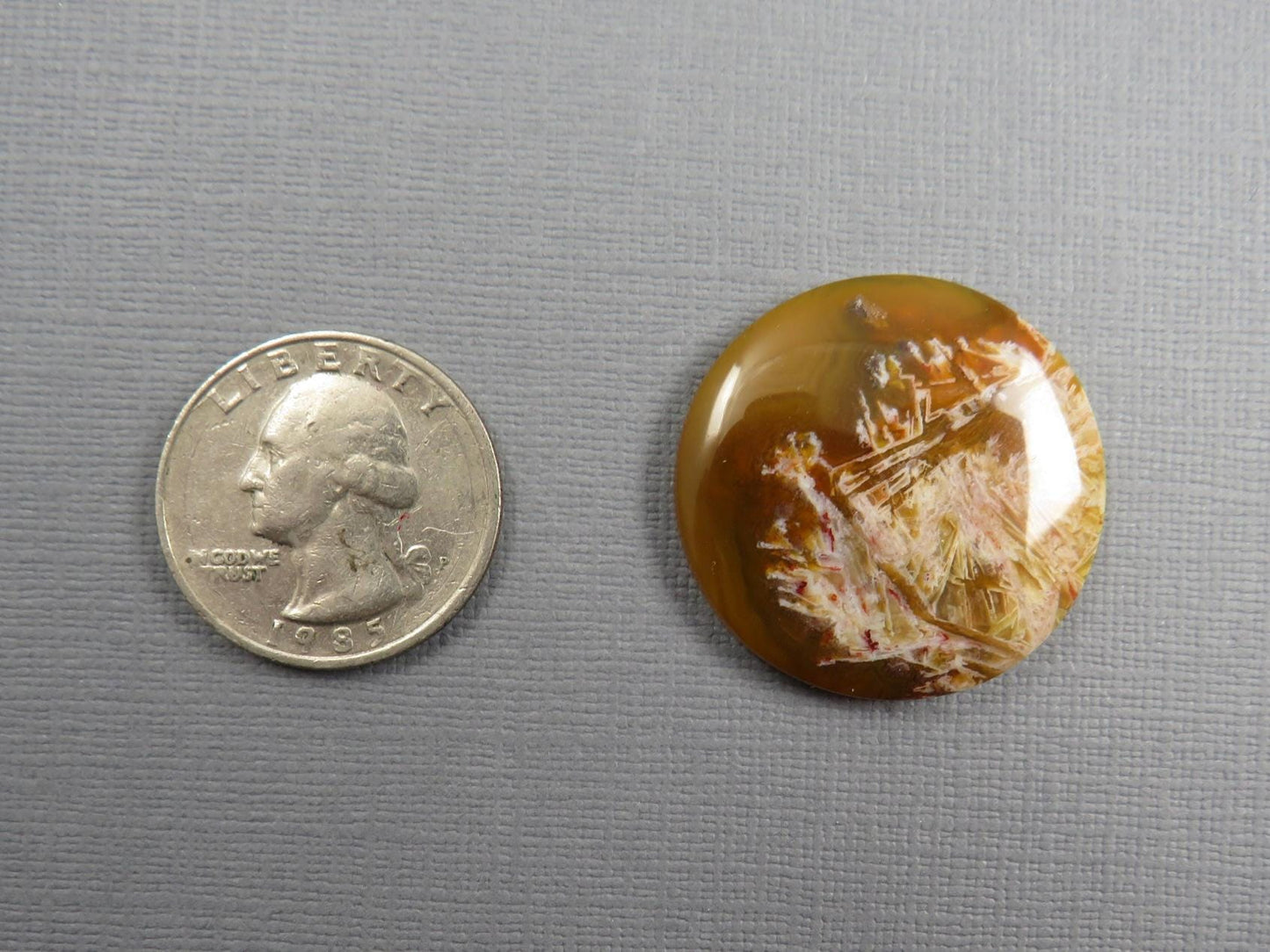 Condor Agate Cabochon | Round Chalcedony from Patagonia Argentina | AG310 - Condor Agate, Sagenite Agate - GemEnthusiast