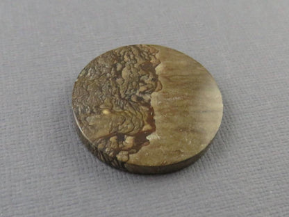 Deschutes Biggs Jasper from Oregon | Mined in the USA | JS409 - Deschutes Jasper, Biggs Jasper - GemEnthusiast