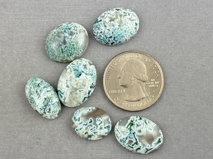 Moss Agate Cabochon Lot | Oval Loose Gemstones | AG148 - Moss Agate - GemEnthusiast