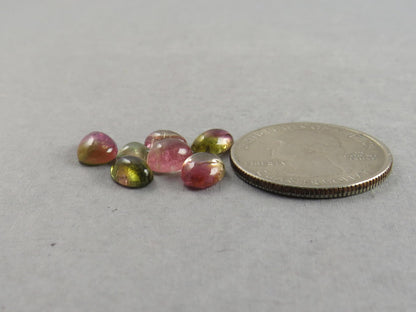 Watermelon Tourmaline Cabochon Lot | Loose Natural Gemstone | 9.3 cts | TO562 - Tourmaline - GemEnthusiast