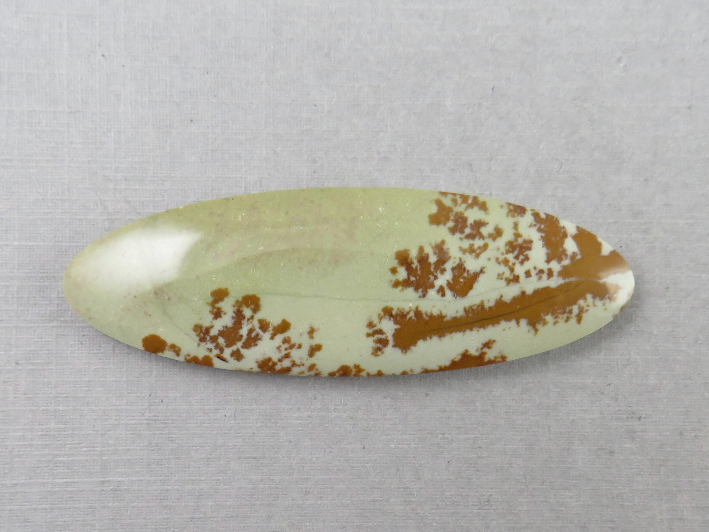 Owyhee Picture Jasper Cabochon | Oregon Idaho Gemstone | Mined in the USA | JS359 - Owyhee Jasper - GemEnthusiast