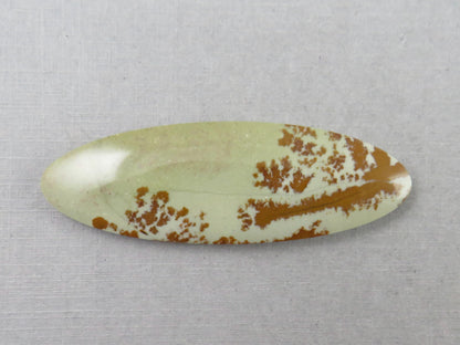 Owyhee Picture Jasper Cabochon | Oregon Idaho Gemstone | Mined in the USA | JS359 - Owyhee Jasper - GemEnthusiast