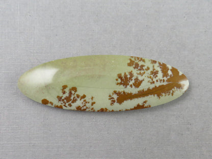 Owyhee Picture Jasper Cabochon | Oregon Idaho Gemstone | Mined in the USA | JS359 - Owyhee Jasper - GemEnthusiast
