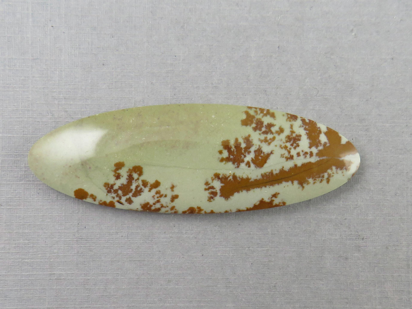 Owyhee Picture Jasper Cabochon | Oregon Idaho Gemstone | Mined in the USA | JS359 - Owyhee Jasper - GemEnthusiast