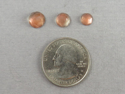Oregon Sunstones Rose cut Round Cabochons | 6mm 7mm 8mm | Mined in the USA - Oregon Sunstone - GemEnthusiast