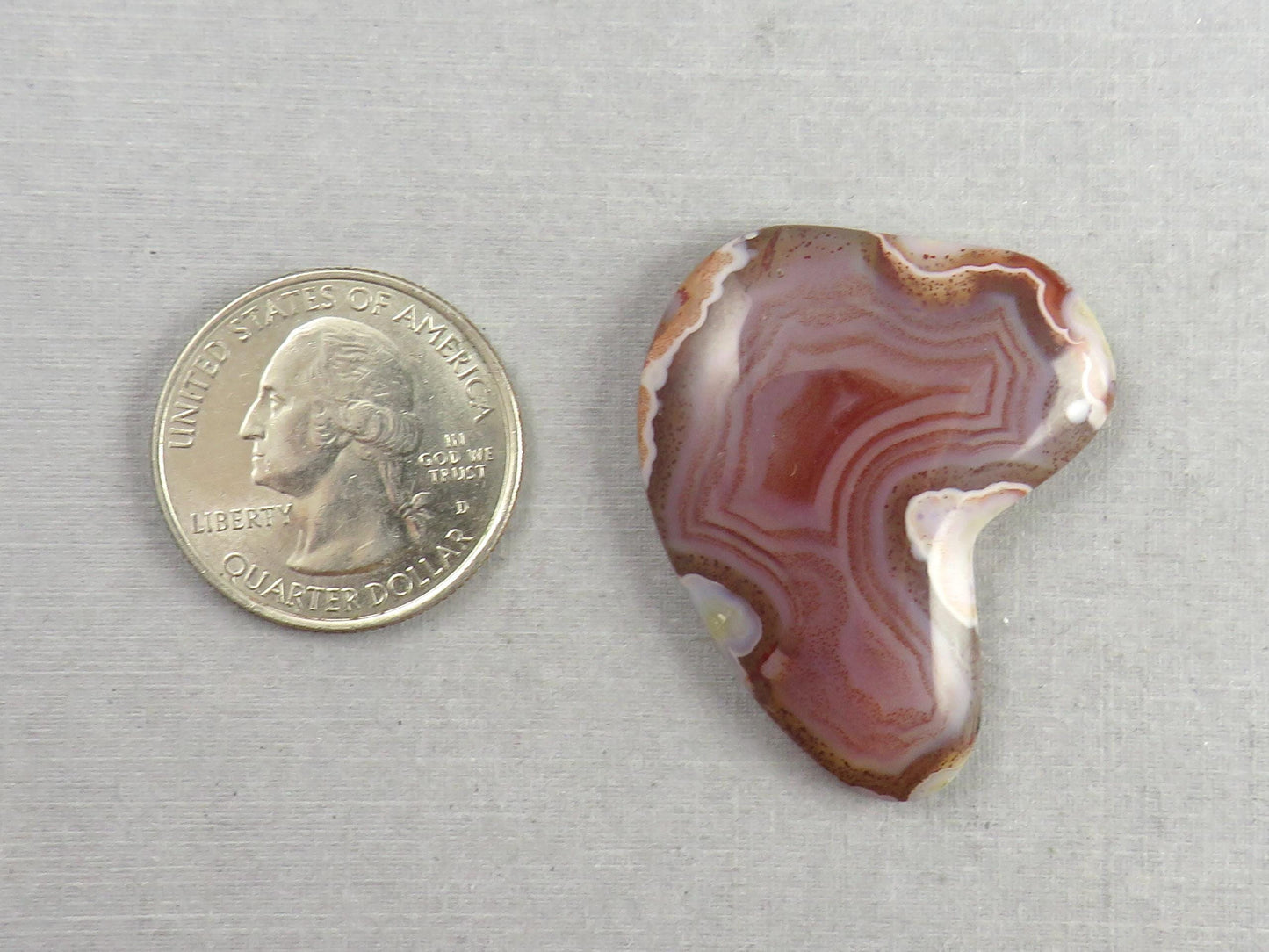 Sierra Madre Agate | 39x30 mm | Large Natural Loose Cabochon Gemstone | AG318 - Agate - GemEnthusiast