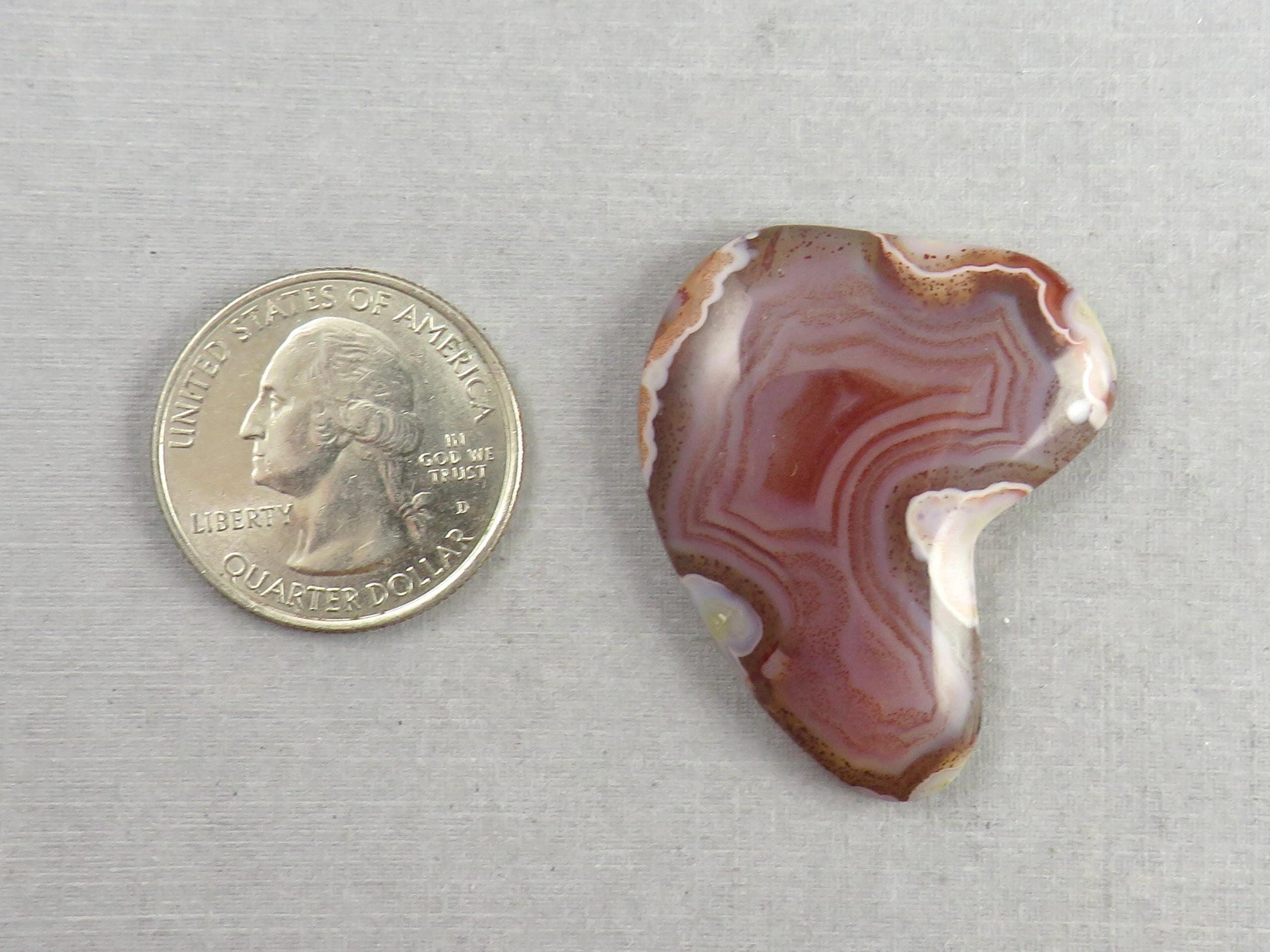 Sierra Madre Agate | 39x30 mm | Large Natural Loose Cabochon Gemstone | AG318 - Agate - GemEnthusiast