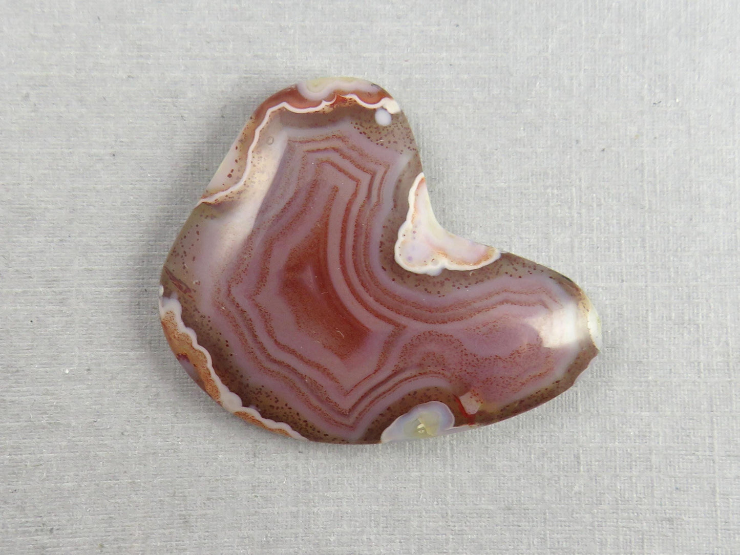 Sierra Madre Agate | 39x30 mm | Large Natural Loose Cabochon Gemstone | AG318 - Agate - GemEnthusiast