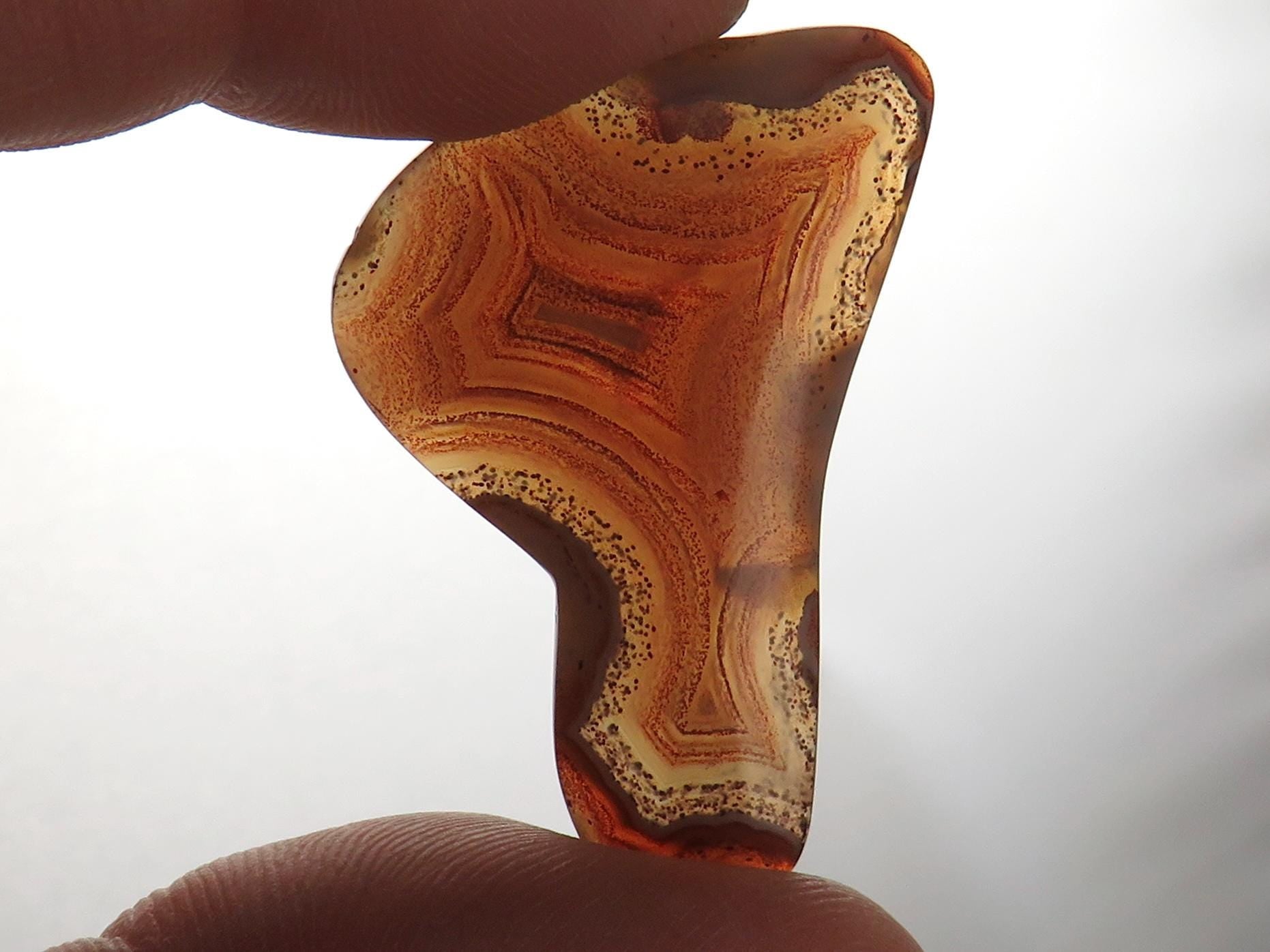 Sierra Madre Agate | 37x27 mm | Large Natural Loose Cabochon Gemstone | AG317 - Agate - GemEnthusiast