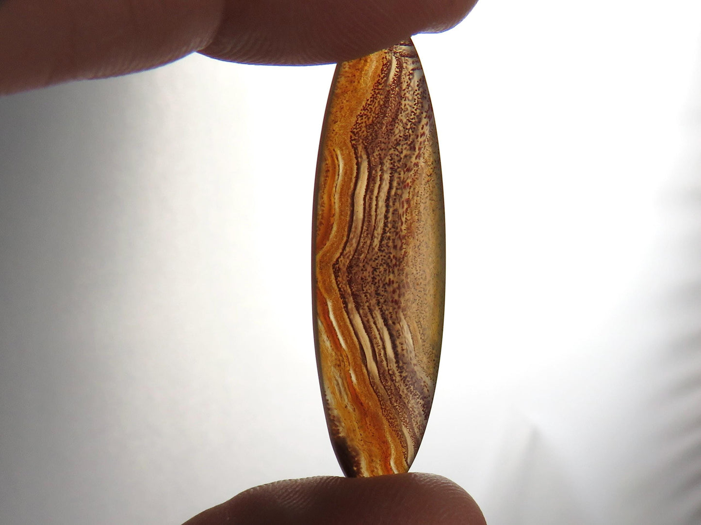 Sierra Madre Agate | 41x12 mm | Natural Oval Cabochon Gemstone | AG315 - Sierra Madre Agate - GemEnthusiast