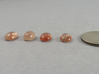11x8 Oregon Sunstone Oval Cabochon Gemstones | Mined in the USA | OSC328 - Oregon Sunstone - GemEnthusiast