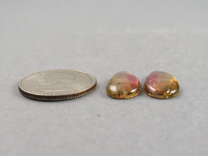 Watermelon Tourmaline Cabochon Pair | Natural Gemstones | 21x10 mm | 13.6 cts | TO568 - Watermelon Tourmaline - GemEnthusiast