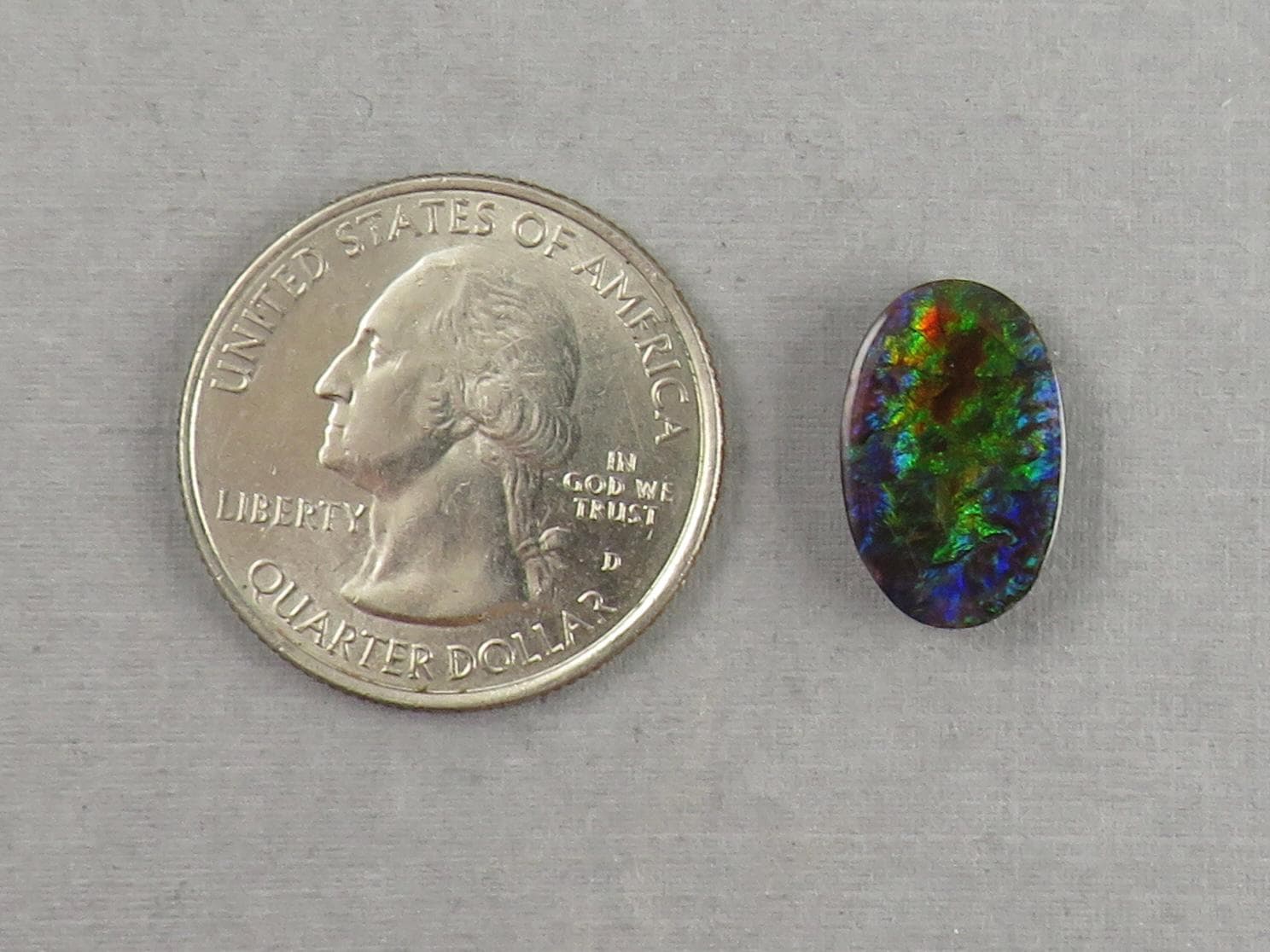 Canadian Ammolite Doublet | Natural Ammonite Fossil Cabochon | 16x10 | AC102 - Canadian Ammolite - GemEnthusiast