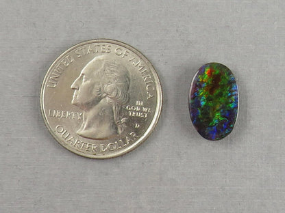 Canadian Ammolite Doublet | Natural Ammonite Fossil Cabochon | 16x10 | AC102 - Canadian Ammolite - GemEnthusiast