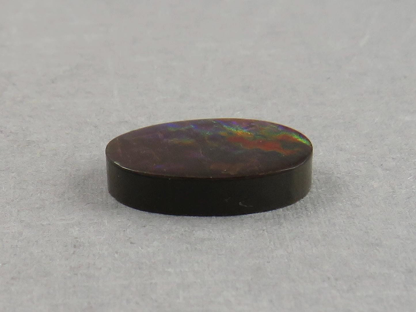 Canadian Ammolite Doublet | Natural Ammonite Fossil Cabochon | 16x10 | AC102 - Canadian Ammolite - GemEnthusiast