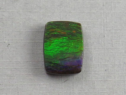 Canadian Ammolite Doublet | Natural Ammonite Fossil Cabochon | AC103 - Canadian Ammolite - GemEnthusiast