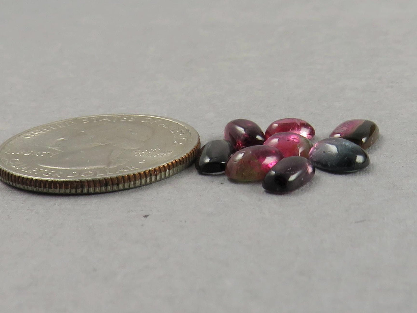 Bicolor Tourmaline Cabochon Lot | Loose Natural Gemstone | 6.5 carats | 6-8mm | TO561 - Tourmaline - GemEnthusiast