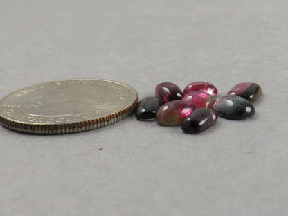 Bicolor Tourmaline Cabochon Lot | Loose Natural Gemstone | 6.5 carats | 6-8mm | TO561 - Tourmaline - GemEnthusiast