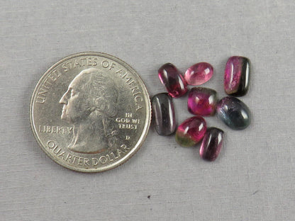 Bicolor Tourmaline Cabochon Lot | Loose Natural Gemstone | 6.5 carats | 6-8mm | TO561 - Tourmaline - GemEnthusiast