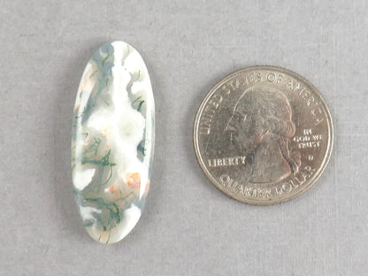 Moss Agate | 35x14x5 mm | Natural Round Cabochon Gemstone | AG328 - Moss Agate, Chalcedony - GemEnthusiast