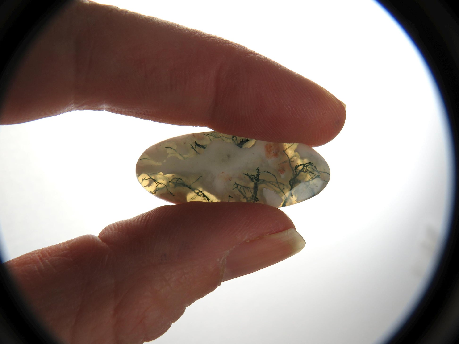 Moss Agate | 35x14x5 mm | Natural Round Cabochon Gemstone | AG328 - Moss Agate, Chalcedony - GemEnthusiast