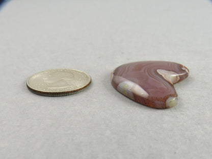 Sierra Madre Agate | 39x30 mm | Large Natural Loose Cabochon Gemstone | AG318 - Agate - GemEnthusiast