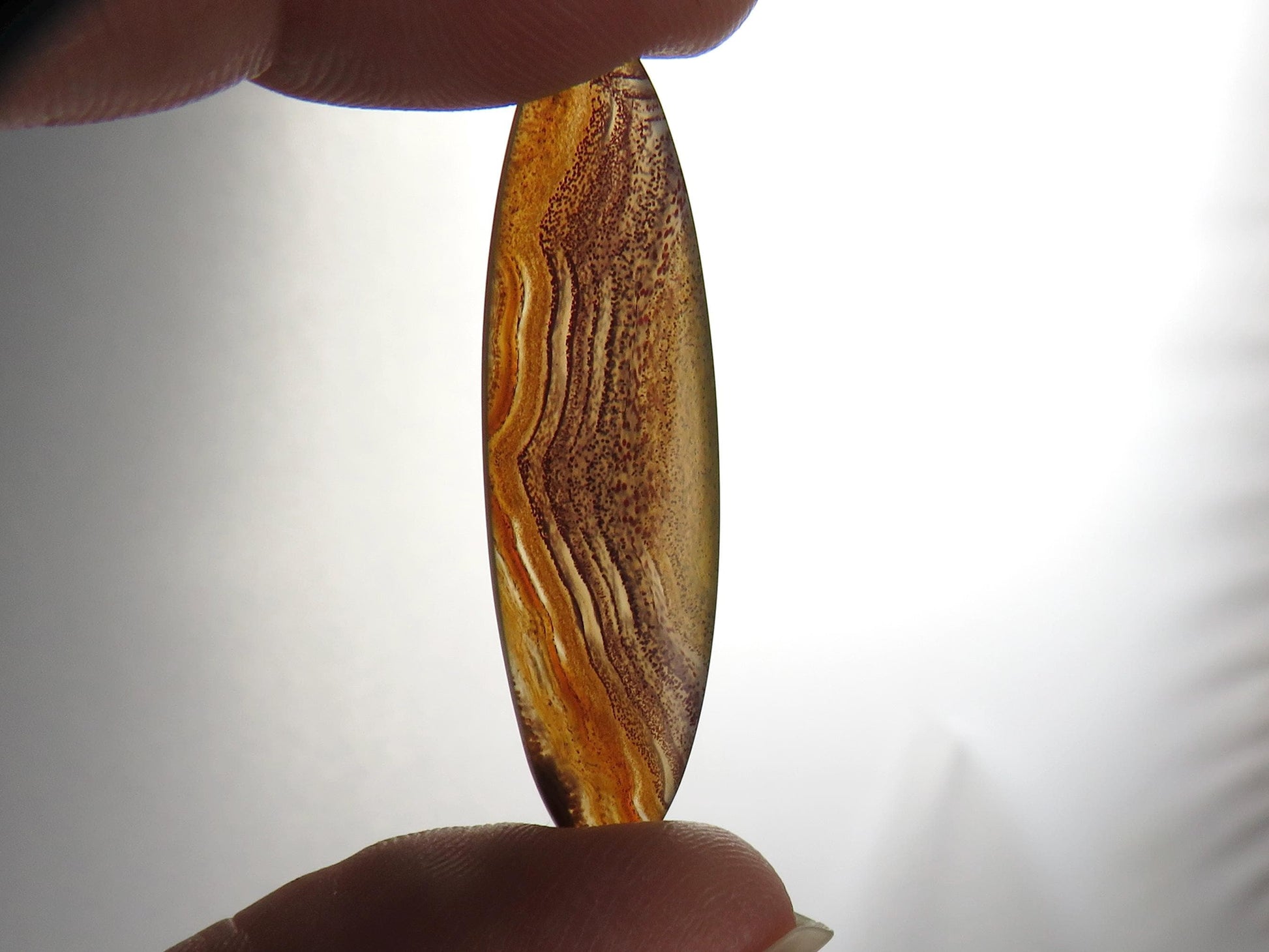 Sierra Madre Agate | 41x12 mm | Natural Oval Cabochon Gemstone | AG315 - Sierra Madre Agate - GemEnthusiast