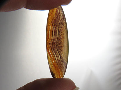 Sierra Madre Agate | 41x12 mm | Natural Oval Cabochon Gemstone | AG315 - Sierra Madre Agate - GemEnthusiast