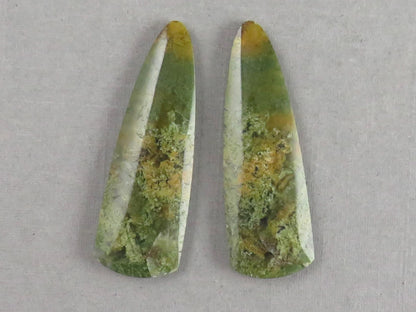 Moss Agate Pair | Natural Loose Gemstone | Dendritic Chalcedony | Indonesia | 37x12x4 | AG344 - Moss Agate - GemEnthusiast
