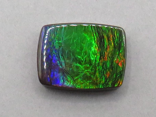 Canadian Ammolite Doublet | Natural Ammonite Fossil Cabochon | AC103 - Canadian Ammolite - GemEnthusiast