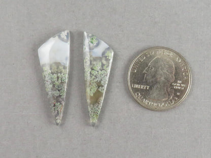 Indonesian Moss Agate Pair | Natural Loose Chalcedony Gemstone | 36x11x3 | AG342 - Moss Agate - GemEnthusiast
