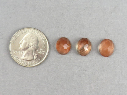 11x9 Oregon Sunstone Oval Rose Cut Cabochon Gemstones | Mined in the USA | OSR104 - Oregon Sunstone - GemEnthusiast