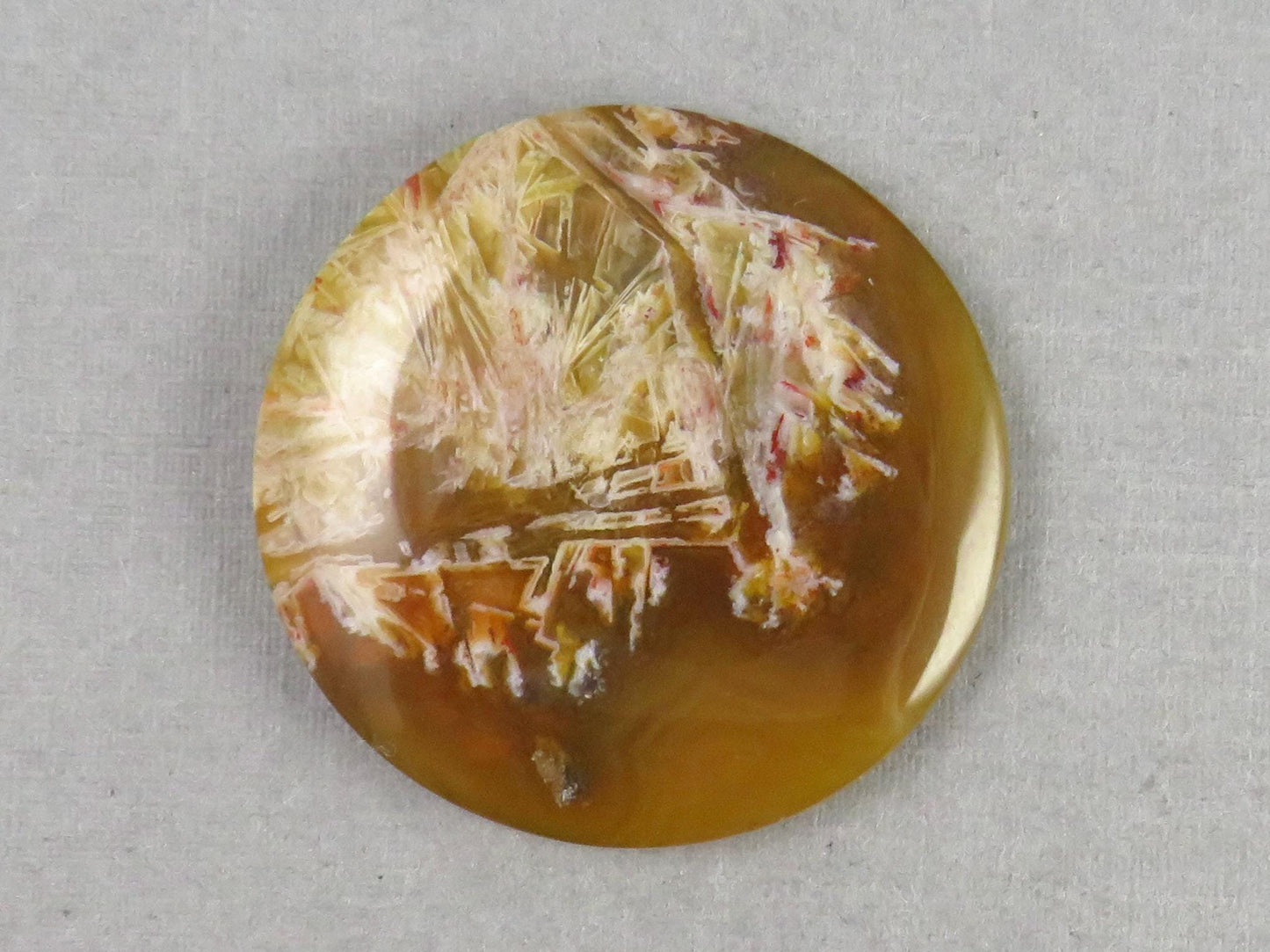 Condor Agate Cabochon | Round Chalcedony from Patagonia Argentina | AG310 - Condor Agate, Sagenite Agate - GemEnthusiast