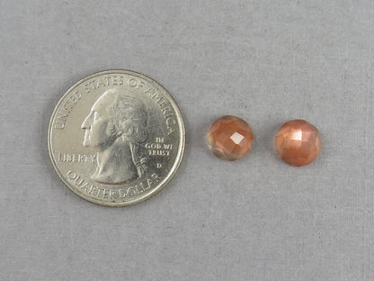 8mm Oregon Sunstones with Schiller | Round Rosecut Cabochon Pair | OSR103 - Oregon Sunstone - GemEnthusiast