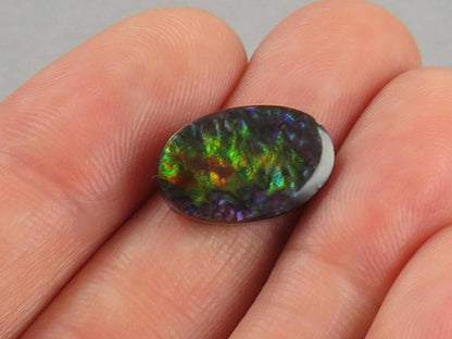 Canadian Ammolite Doublet | Natural Ammonite Fossil Cabochon | 16x10 | AC102 - Canadian Ammolite - GemEnthusiast